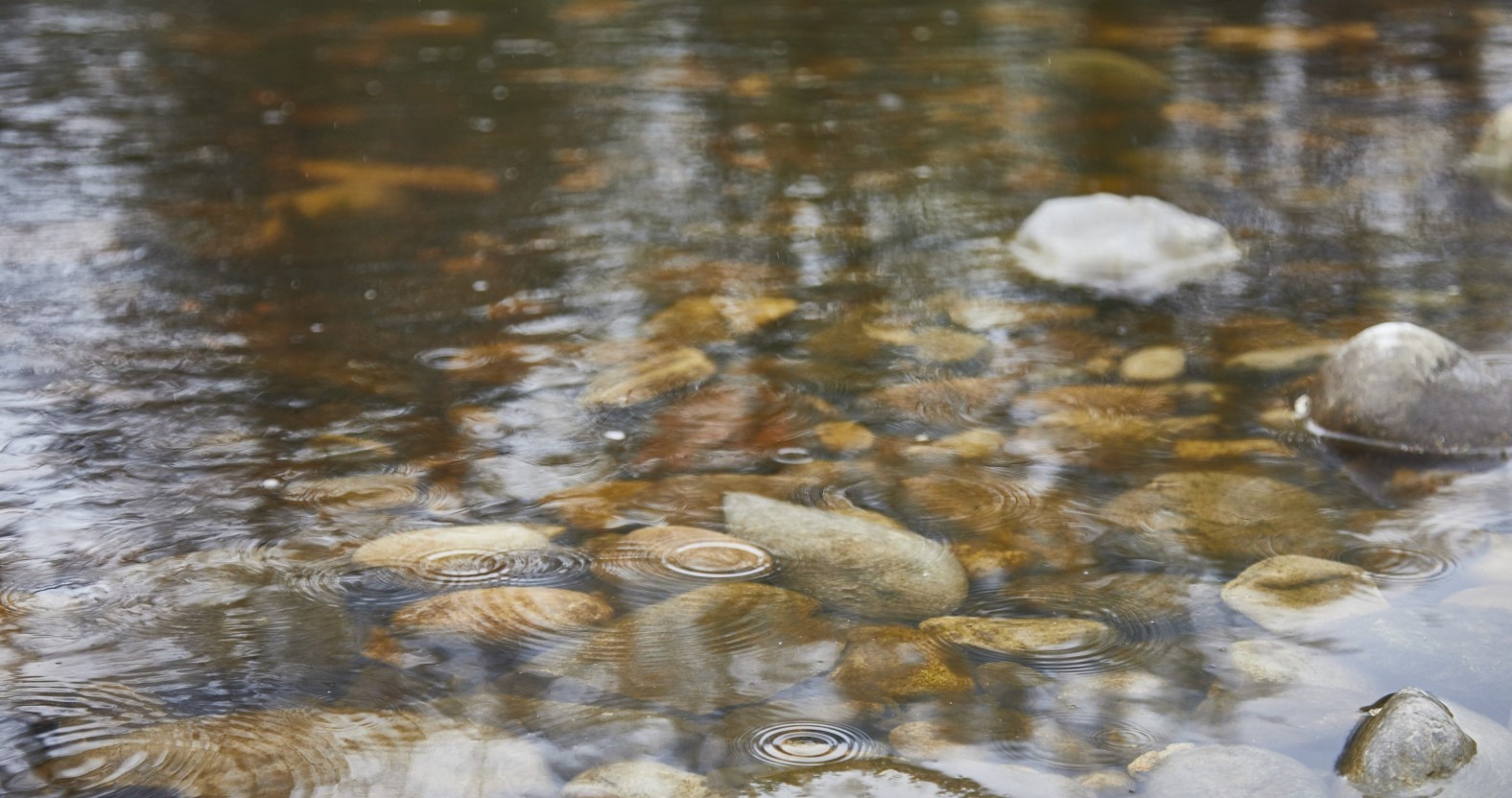 Yorkshire Water warns of disruption as sewage reduction work begins in Knaresborough